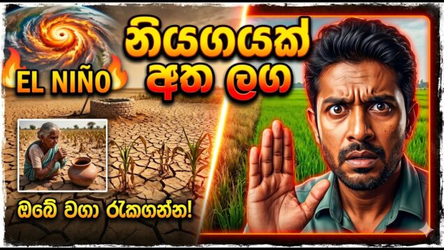මගා නියගයක් අත ලග දැම්ම සූදානම් වෙන්න