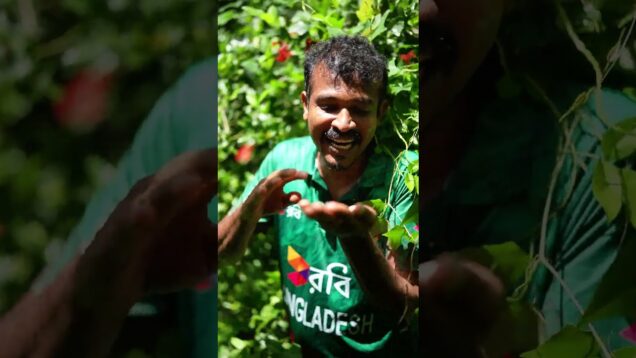 නියම රත් මල්