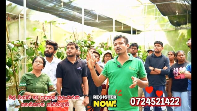 මිලියන ගනන් උපයන ගොවියෙක් වෙන්නෙ කොහොමද?