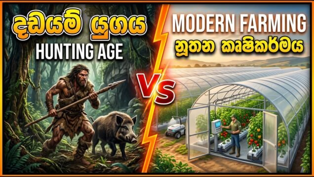 තාම ඔයා මෙහෙම වවන්නේ නැත්නම් ඔයත් දඩයම් යුගයේ