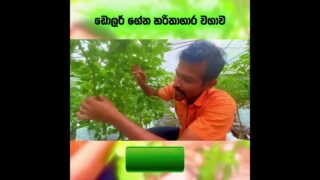 සල්ලි හොයන්න කැමති නැත්තම් මෙහෙම වවන්න එපා