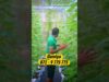 සුන්දර වගාවක් 071 602 8824