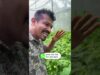 මිලියන ගණන් උපයන කෘෂි විවසායකු වීමේ මග