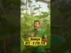 හැමෝටම තියෙන ප්‍රශ්නයක්