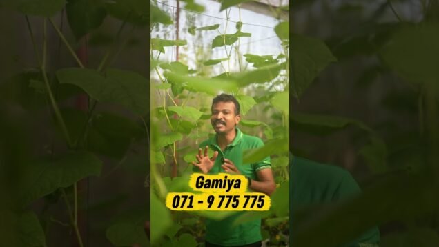 හැමෝටම තියෙන ප්‍රශ්නයක්