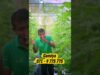 ජොබ් එකෙන් ලැබෙන පඩිය මදිද?