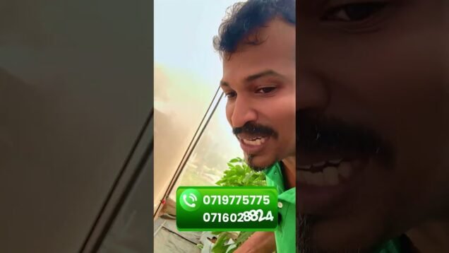 Job කරන ගමන් අමතර සල්ලි හොයමුද?