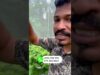ලක්ශ ගානක් හොයාගන්න පුළුවන් නයිමිරිස්