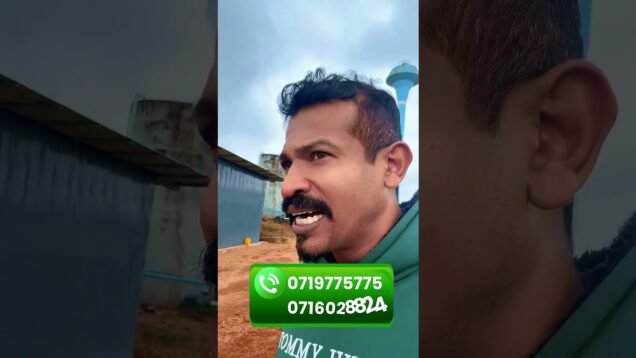 මඩ සෝද ගත්තම රජවෙන්න පුළුවන්ද