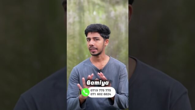 පැළ හිටවන්න හොදම වෙලාව