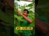 වගා කලොත් සල්ලි තමයි