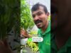 හොද අස්වැන්නක් ගන්න ඔයත් කැමතිද