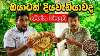 සීනි වෙනුවට මී පැණි කෑවොත් ඔයාට හිතාගන්න බැරි වෙනසක් ඇතිවෙනවා