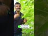 සල්ලි ගස් දැක්කට සල්ලි වැල් දැකල නෑ නේද?