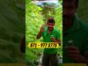 පිං කරපු අයට ලැබෙන දේවල්