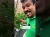 කැල්සියම් වල වටිනාකම