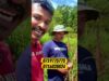 ගොවියෝ අනාතයි