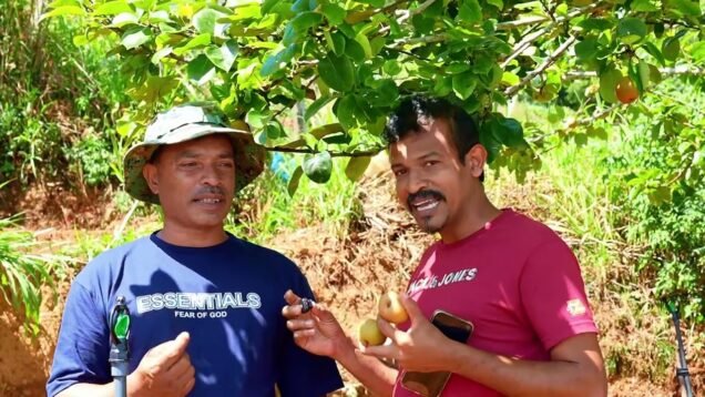ගොවියා බේරගමු