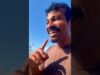 වගාවට මොණරු ඇවිල්ලා