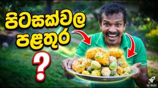 පිටසක්වල පළතුර