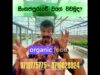 අනාගතයේ ඔයාටත් දිනන්න නම් මෙහෙම වගා කරන්න