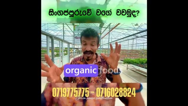 අනාගතයේ ඔයාටත් දිනන්න නම් මෙහෙම වගා කරන්න