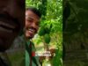 දෙවියනේ පොල් ගහේ අතු කපලා
