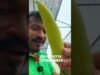 ඔයා තාම සල්ලි මවන හරිතාගාරයක් හදාගත්තෙ නැද්ද