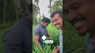 අවුරුදු 17ක කෘෂි ව්‍යවසායකයා