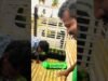 තාම දන්නෙ නැද්ද පැල packing කරන විදිහ