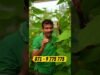 ආදරෙන් වගා කරලා ඇතිවෙන්න සල්ලි හොයමු