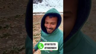 පවු මේ ගොවියො අසරණයි