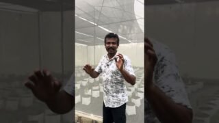 quality green house