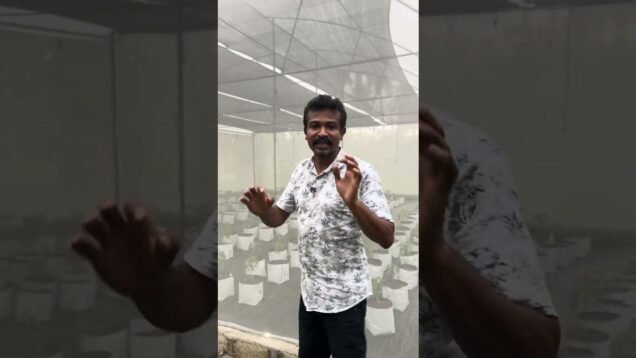 quality green house