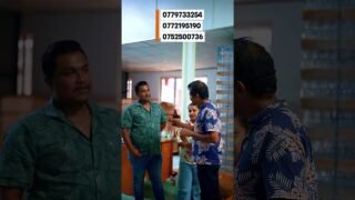 පිටරට job එක අතහැරල business කරන තරුණ couple එක