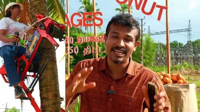 තැඹිලි බාන කෙල්ලෝ