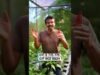 Green house constructio – 0719775775 – 0716028824