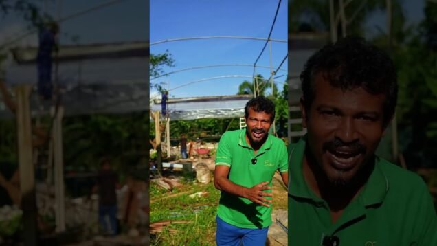පර්චස් 30 green house එකක්