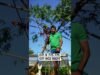 .Green house constructio – 0719775775 – 0716028824