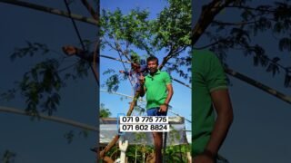 .Green house constructio – 0719775775 – 0716028824