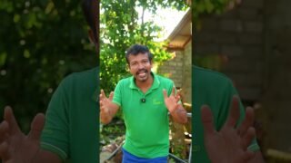 වැඩ කරද්දි අරක්ශිත විදියට කරන්න ඕනෙ