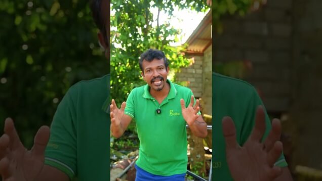 වැඩ කරද්දි අරක්ශිත විදියට කරන්න ඕනෙ