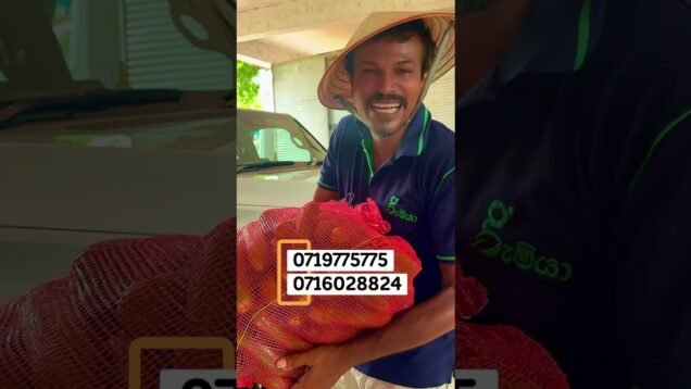 අදත් ගර්කින් ලෝඩ් ගානක් කැඩෙනව