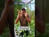 all about sri lanka gardening