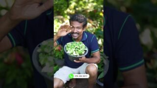 මේ පැල වල වටිනාකම කීයක් වෙයි කියලද හිතන්නෙ
