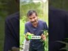 උසස් ප්‍රමිතියෙන් යුතු ශක්තිමත් Polytunnel එකක් නිමවාගැනීමට දැම්ම අපිට කතා කරන්න0719775775