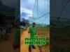 වියදම නැතුව වගා කරමු